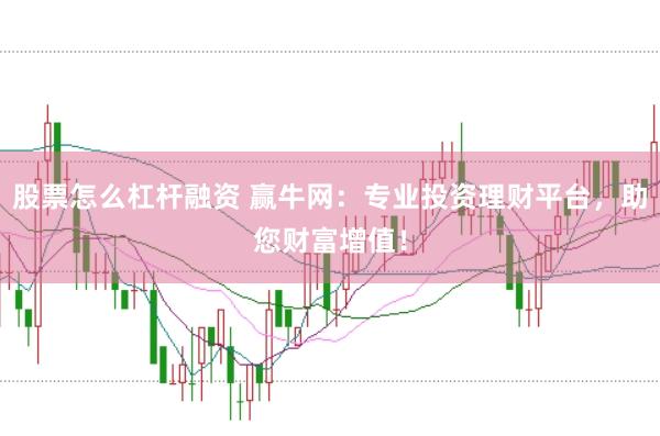 股票怎么杠杆融资 赢牛网：专业投资理财平台，助您财富增值！