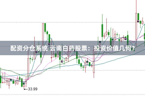 配资分仓系统 云南白药股票：投资价值几何？