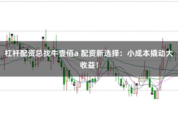 杠杆配资总找牛壹佰a 配资新选择：小成本撬动大收益！