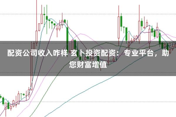 配资公司收入咋样 玄卜投资配资：专业平台，助您财富增值