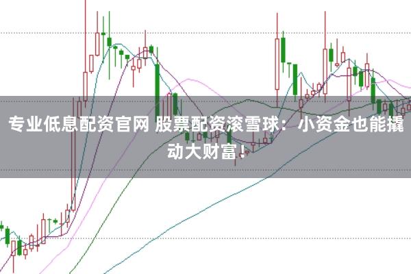 专业低息配资官网 股票配资滚雪球:小资金也能撬动大财富!