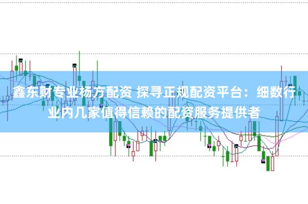 鑫东财专业杨方配资 探寻正规配资平台：细数行业内几家值得信赖的配资服务提供者