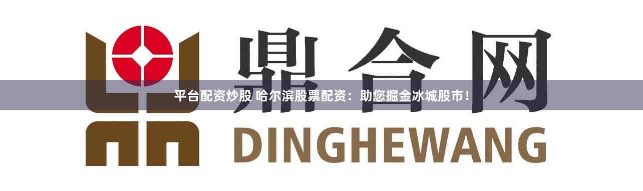 平台配资炒股 哈尔滨股票配资：助您掘金冰城股市！