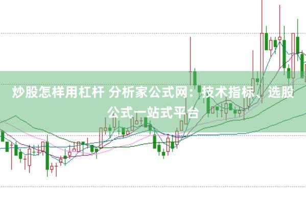 炒股怎样用杠杆 分析家公式网:技术指标、选股公式一站式平台